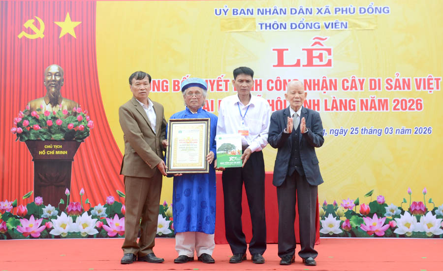 C&acirc;y[-]hoa[-]sữa[-]gần[-]400[-]năm[-]tuổi[-]ở[-]l&agrave;ng[-]Đổng[-]Vi&ecirc;n[-]được[-]c&ocirc;ng[-]nhận[-]C&acirc;y[-]Di[-]sản[-]Việt[-]Nam